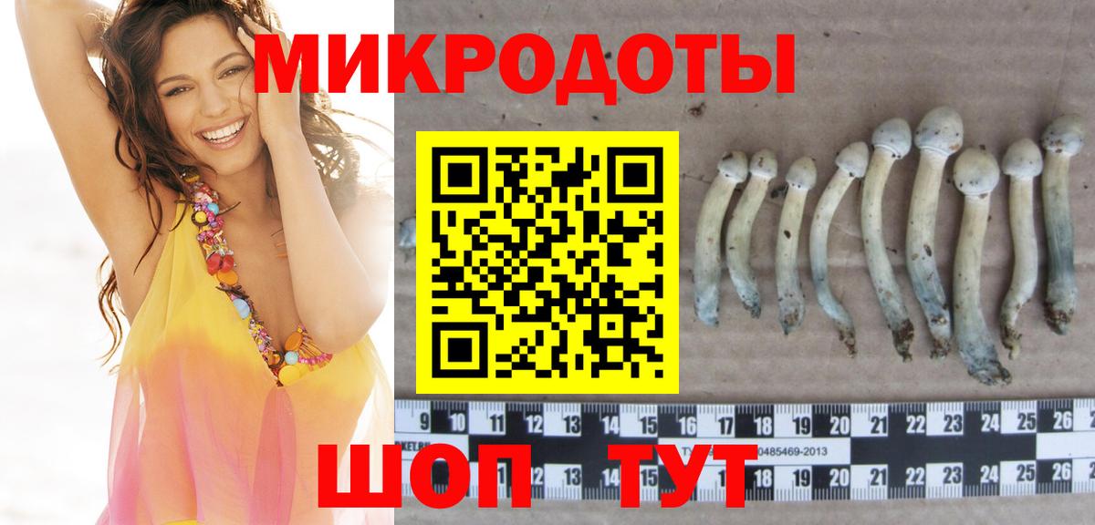 Псилоцибиновые грибы Cubensis Шадринск