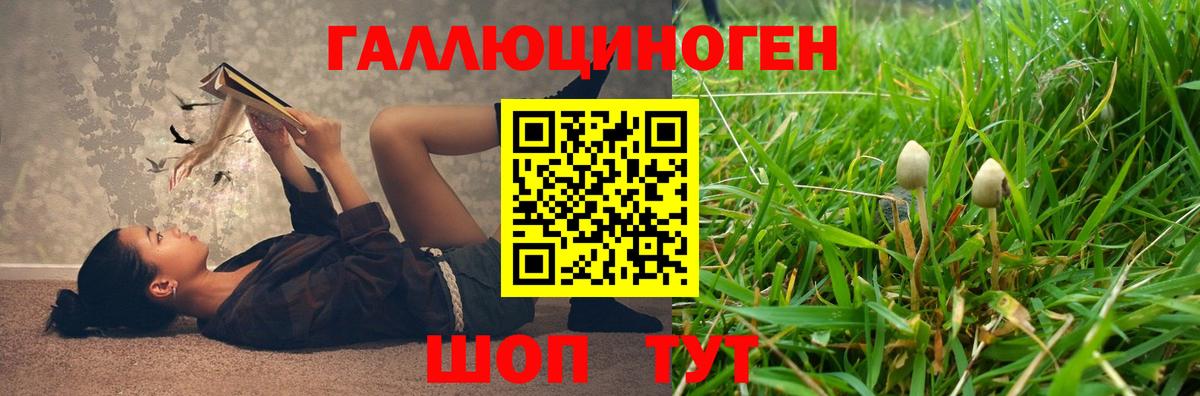 Галлюциногенные грибы прущие грибы  где купить наркоту  Псилоцибиновые грибы мухоморы  Шадринск  Вход с VPN 